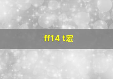 ff14 t宏